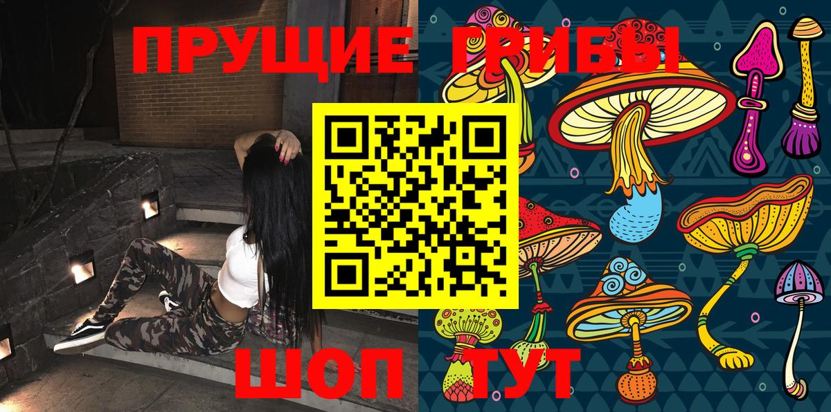 Псилоцибиновые грибы мицелий Бугуруслан